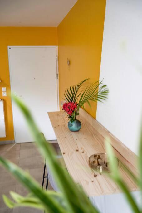 Le Marie-Agnes Appartement Neuf De Standing Фор-де-Франс Экстерьер фото